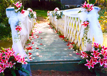 banister Flowers Carroll County Maryland